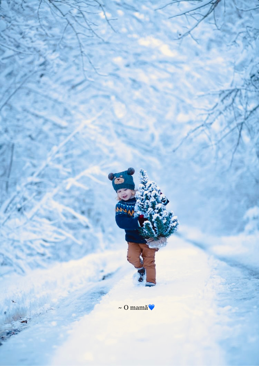 Dăruiți din suflet o vorbă bună de Crăciun, e cel mai prețios cadou!
